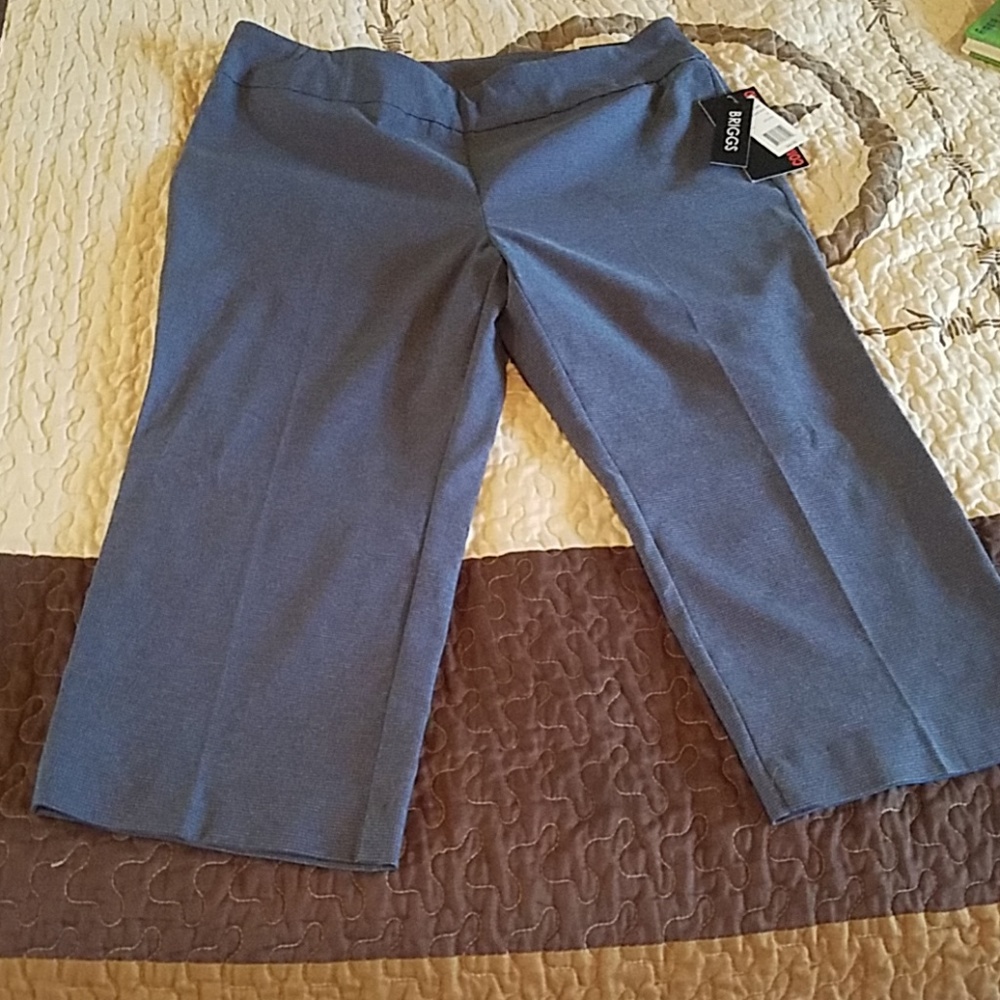 Briggs capris